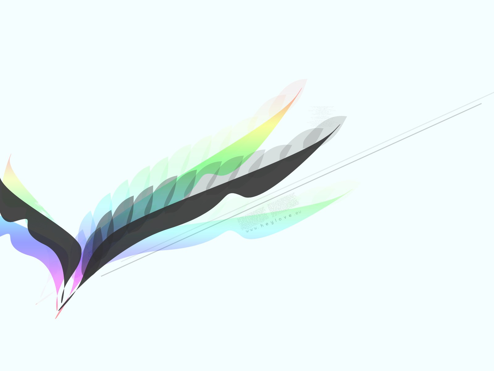 Abstract colorful feather design