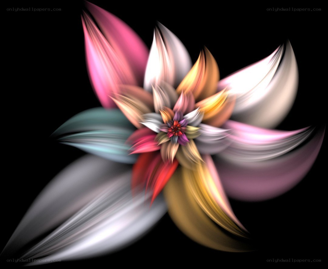 Abstract colorful flower design