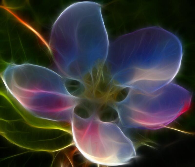 Abstract colorful flower design