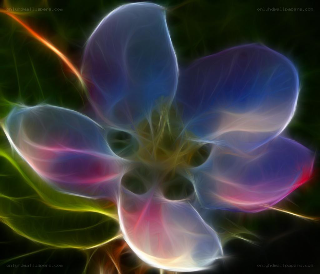 Abstract colorful flower design