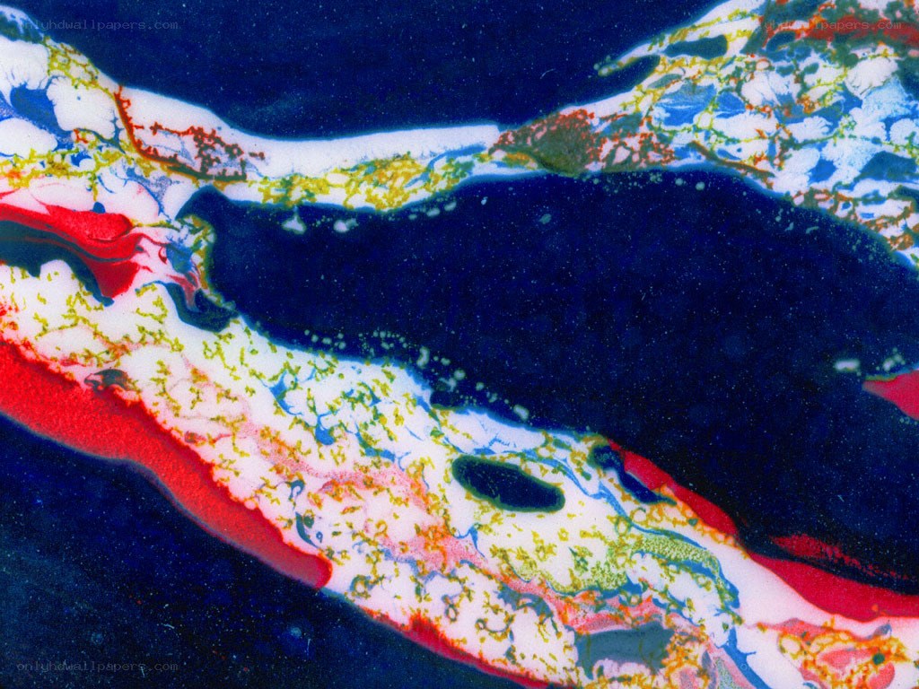 Abstract colorful fluid art