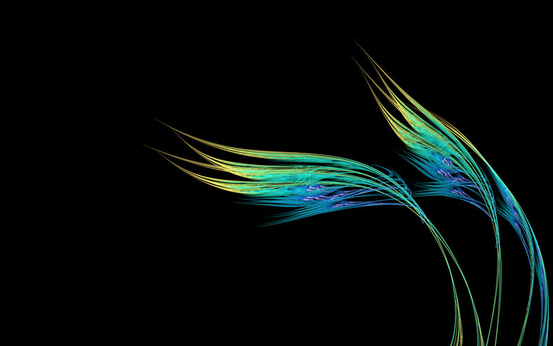 Abstract colorful fractal lines