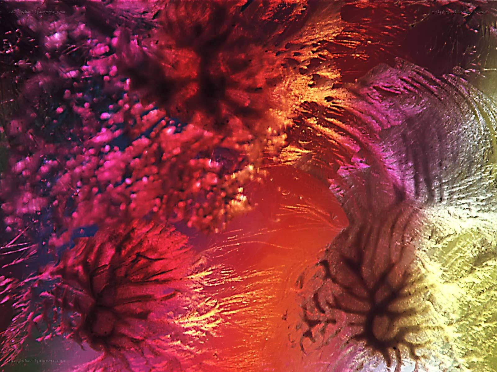 Abstract colorful ice patterns