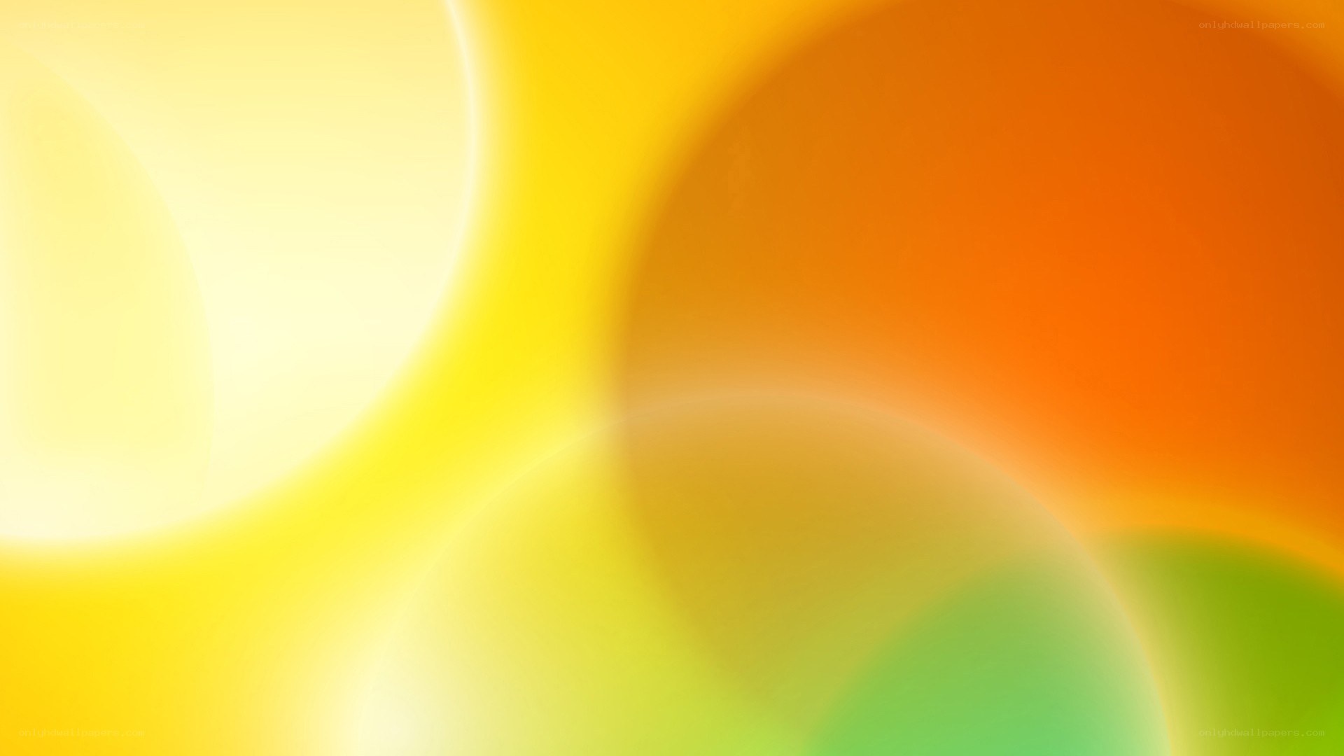 abstract colorful light circles