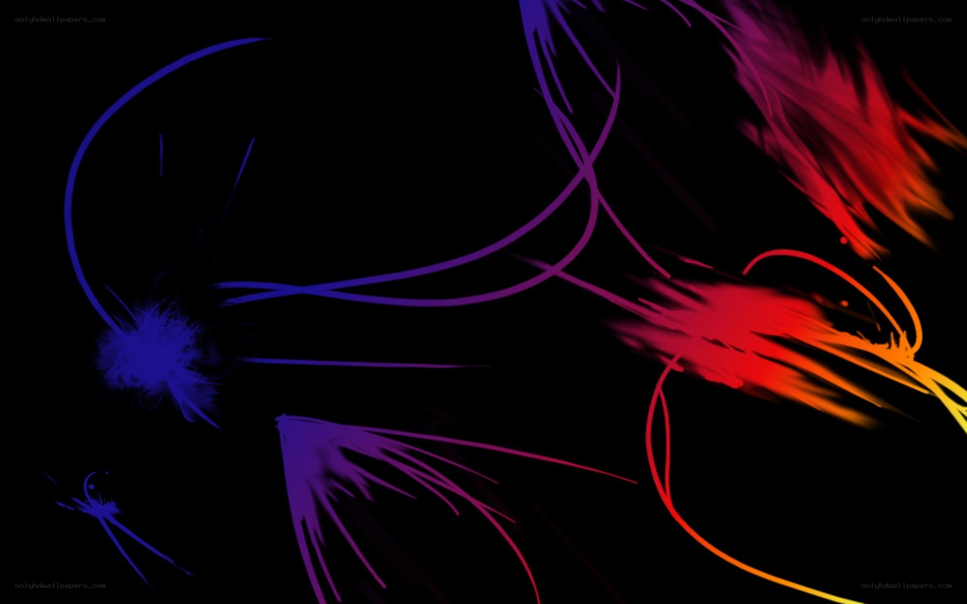 Abstract colorful light trails
