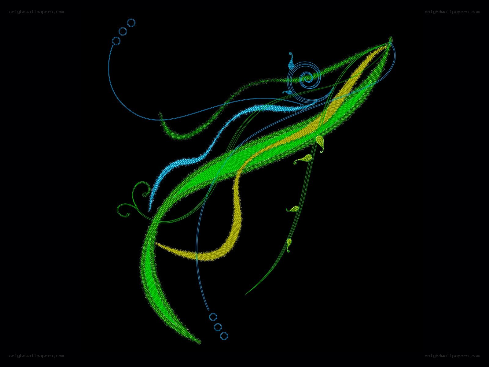 Abstract colorful line art