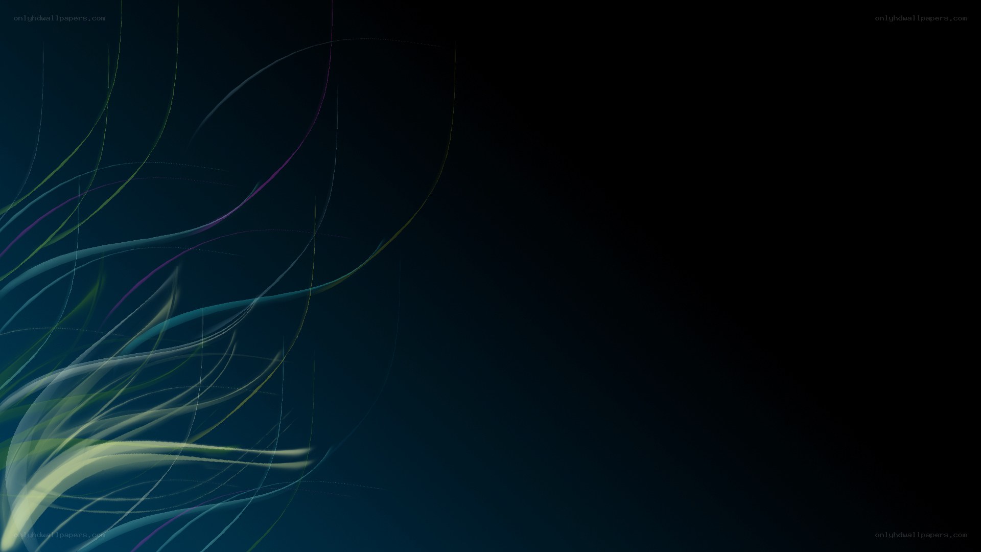 abstract colorful lines on dark background