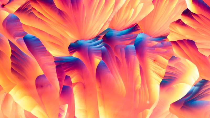 Abstract Colorful Patterns