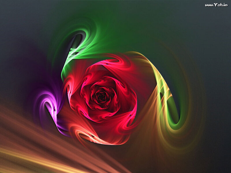 Abstract colorful rose fractal