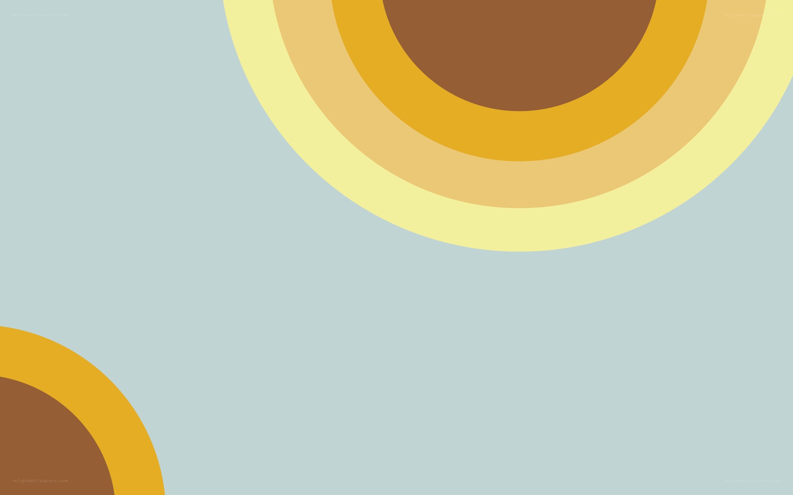 abstract concentric circles