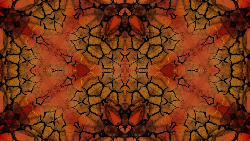 Abstract Cracked Pattern — Orange