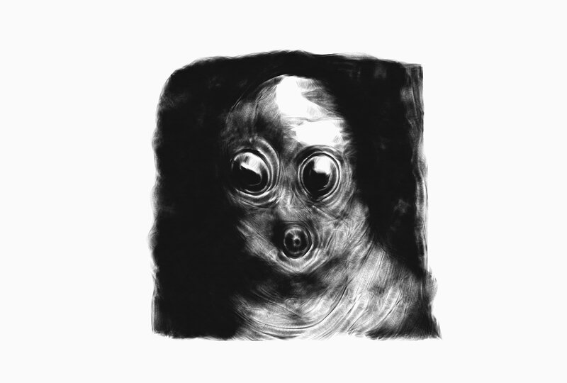 abstract creature face