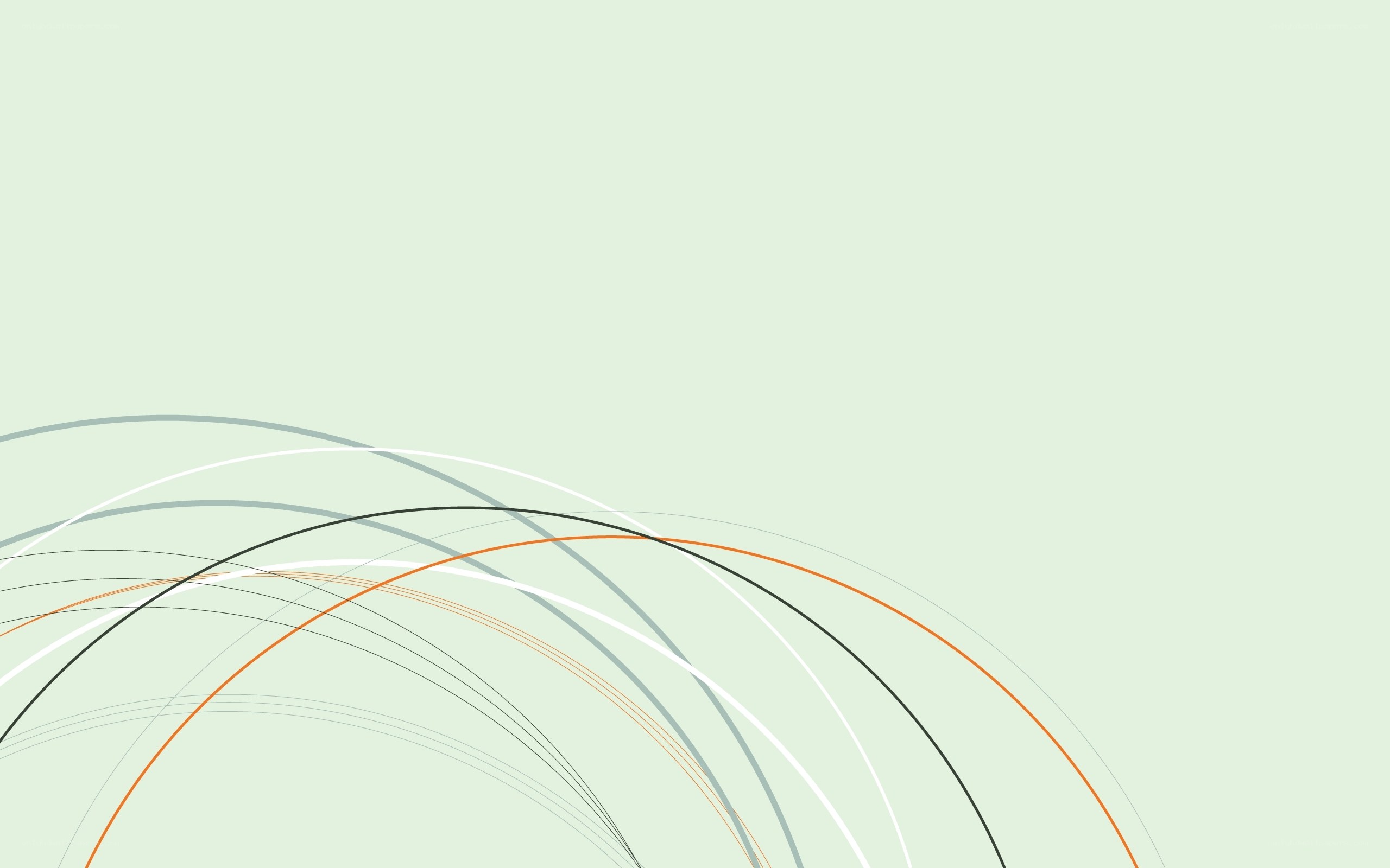 abstract curved lines design