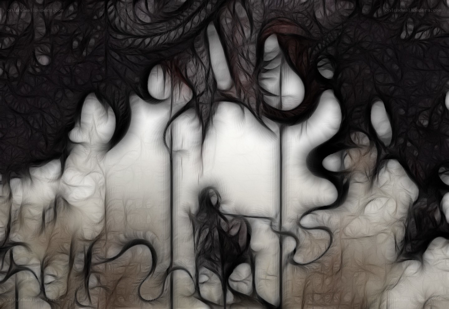 abstract dark swirls and light