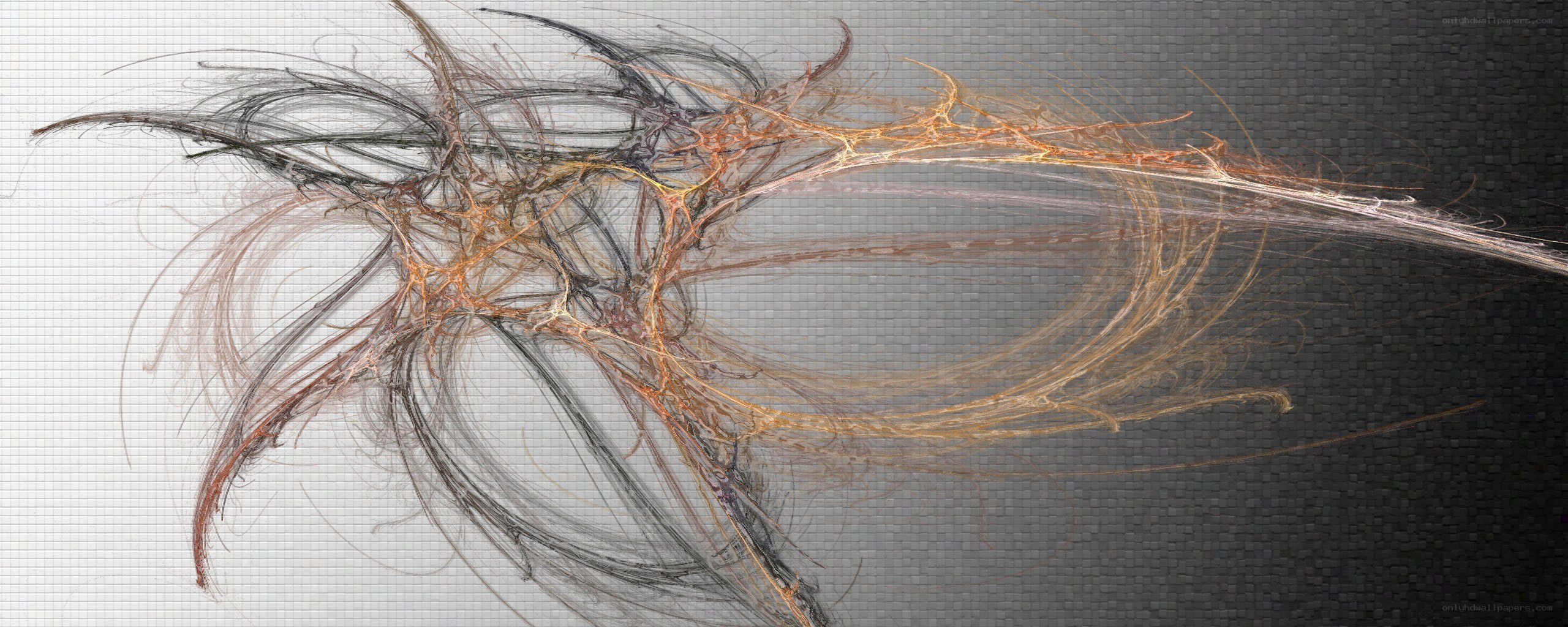 abstract digital art with organic lines