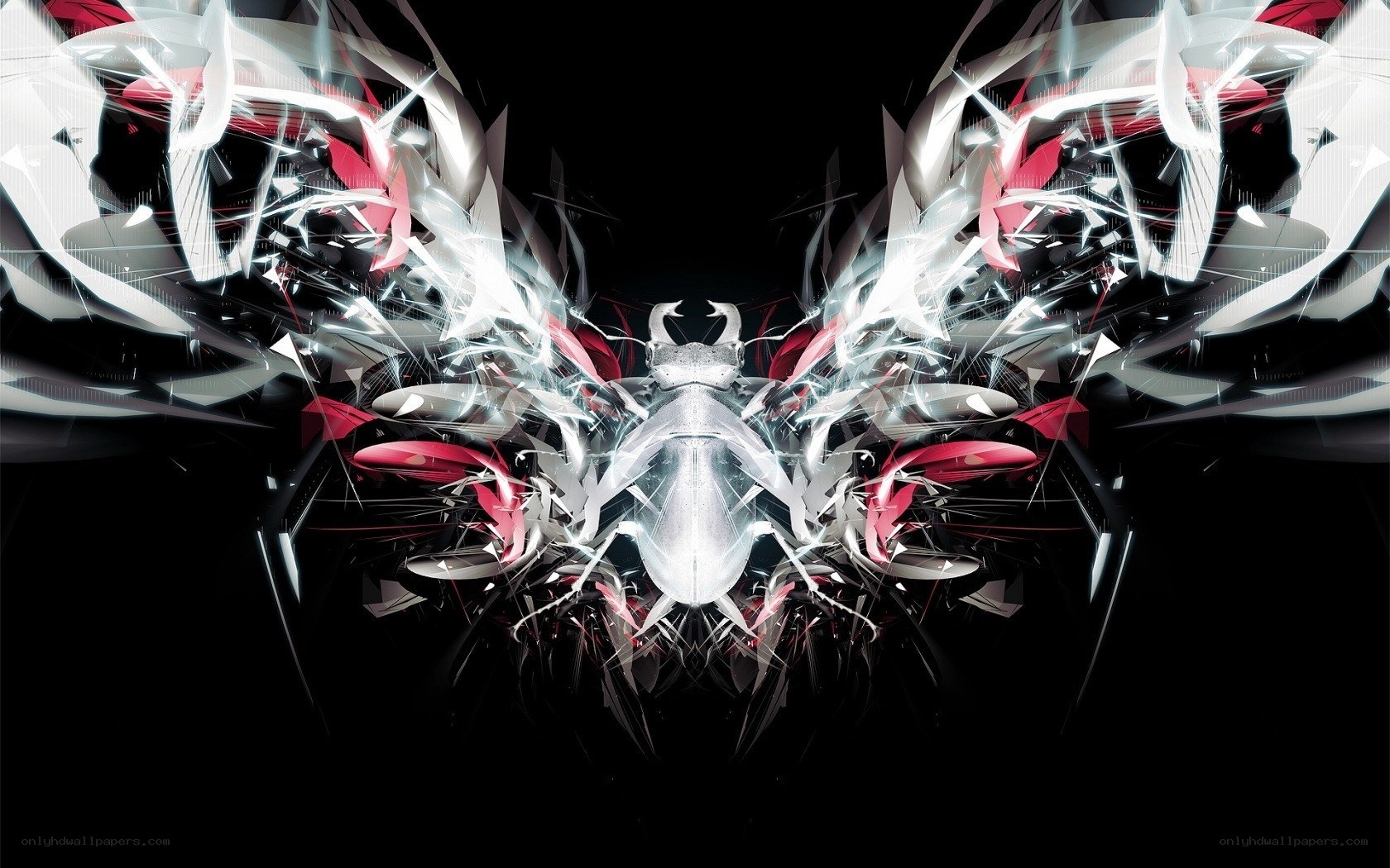abstract digital art with wings