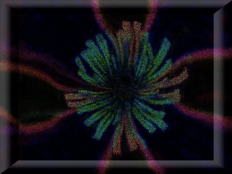 Abstract Digital Flower — Black