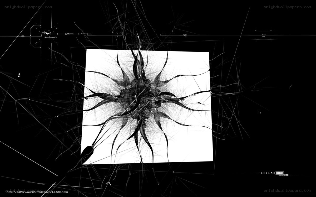 Abstract digital fractal art