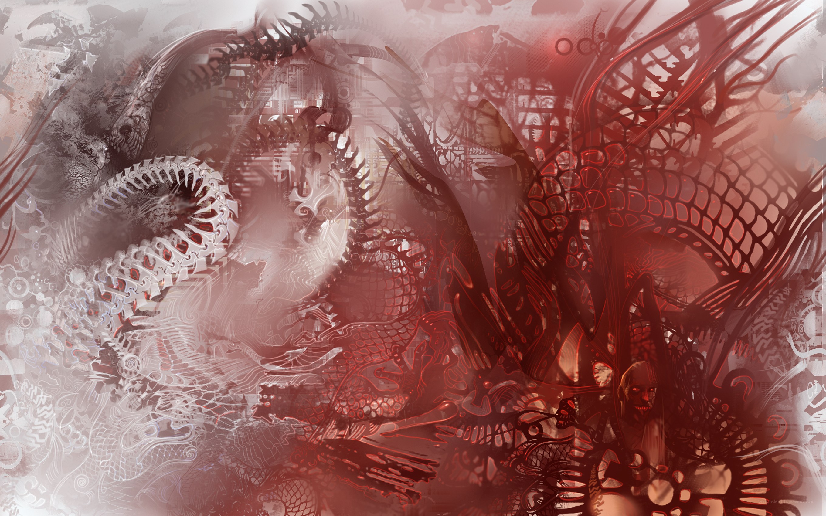 abstract dragon artwork