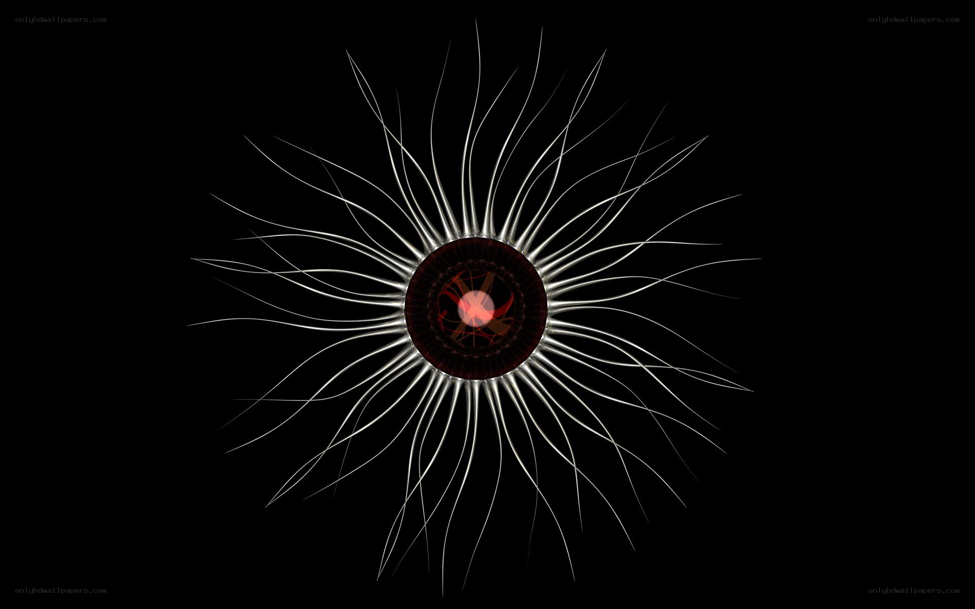 abstract eye-like structure