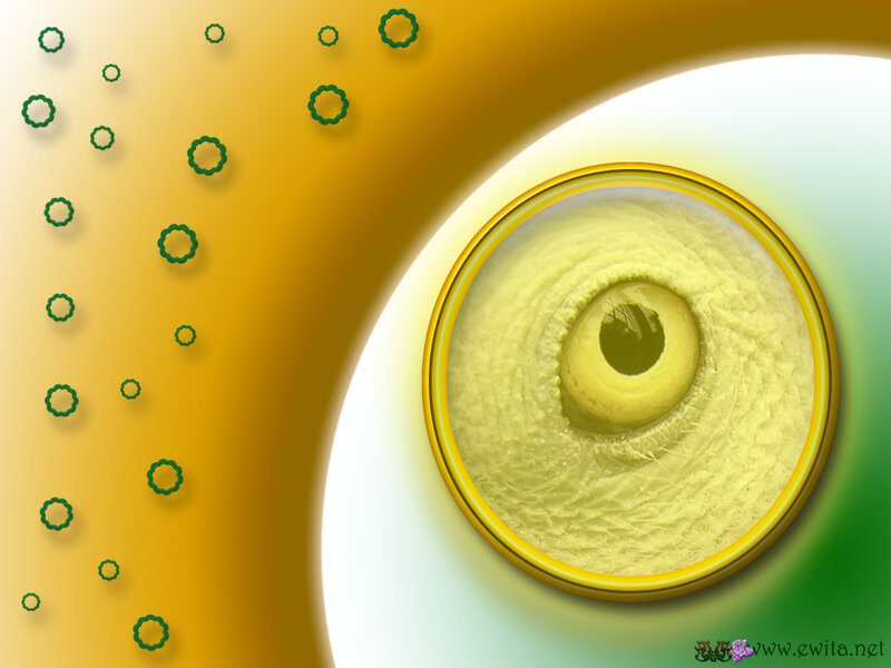 abstract eye with green particles