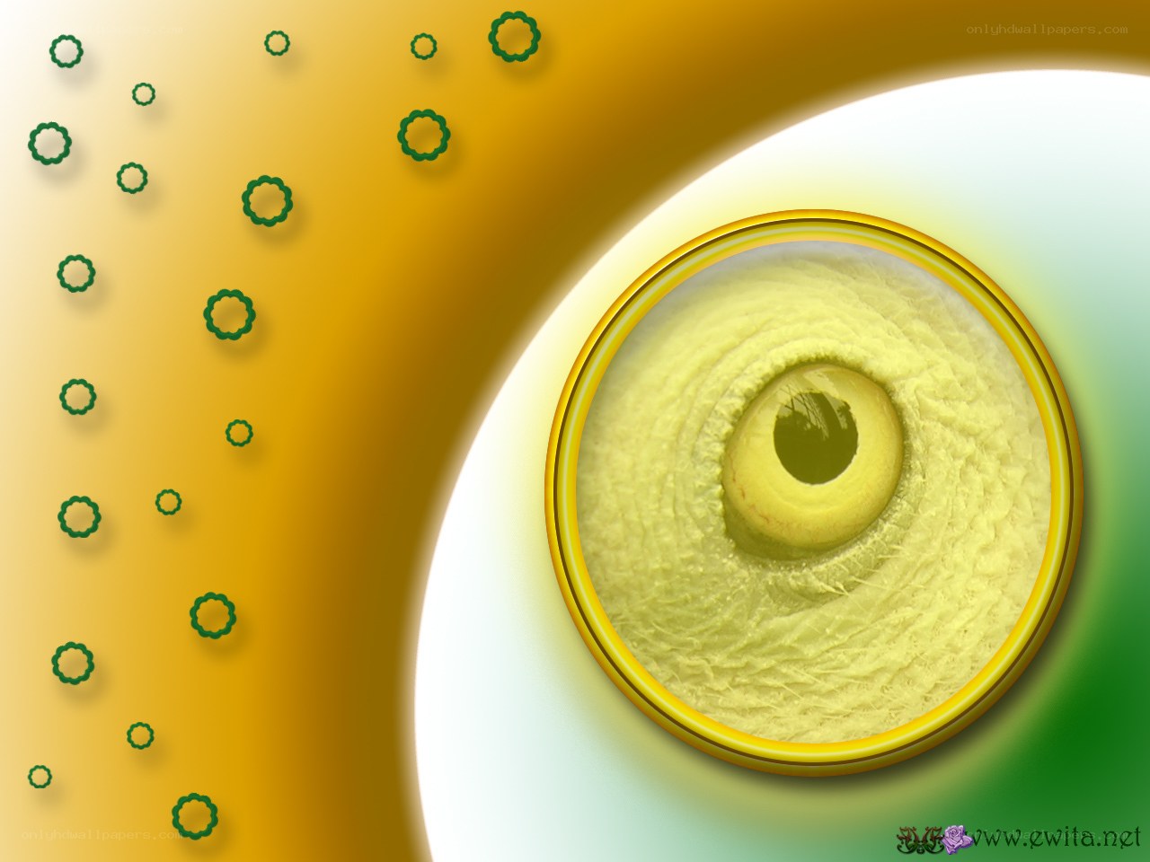 abstract eye with green particles