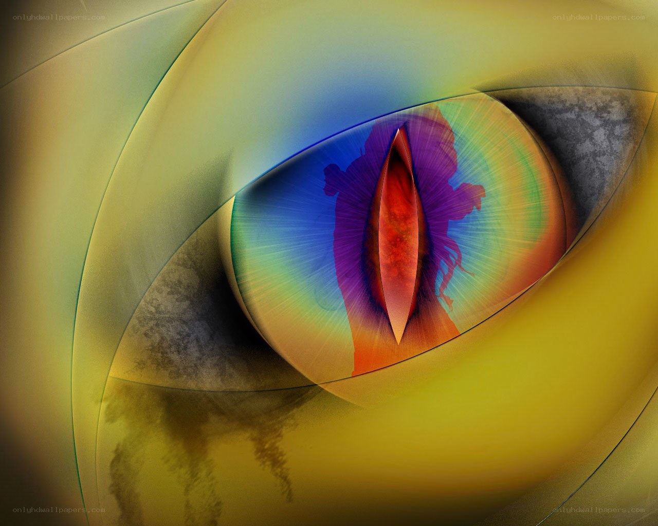 Abstract eye with vibrant colors
