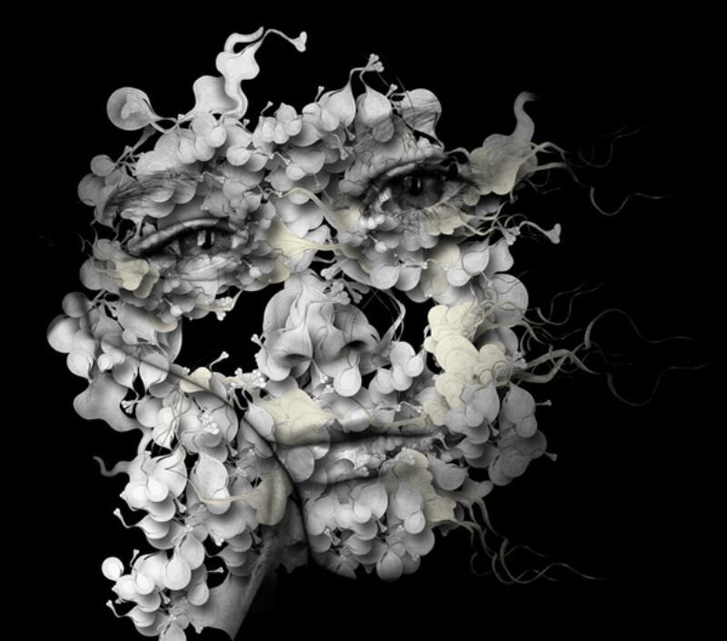 abstract face from floral elements