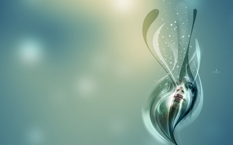 Abstract face in flowing lines