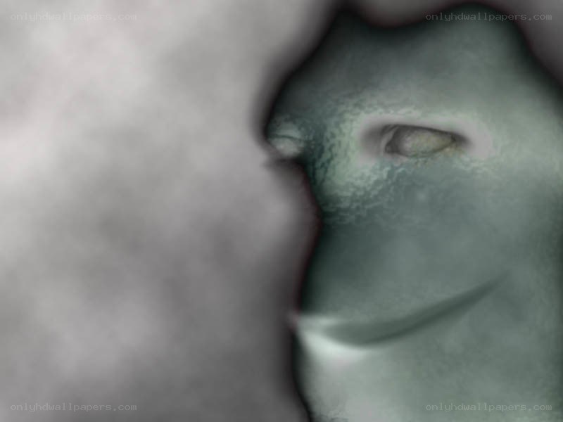 abstract face in fog