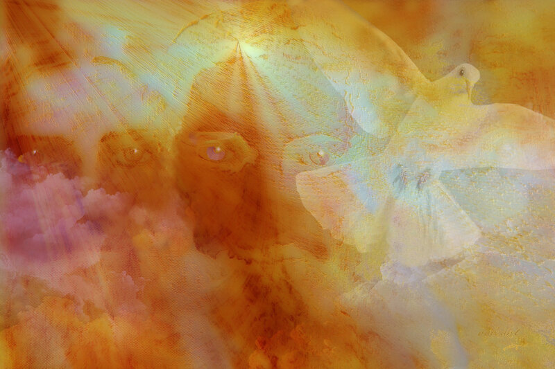 Abstract Face with Doves