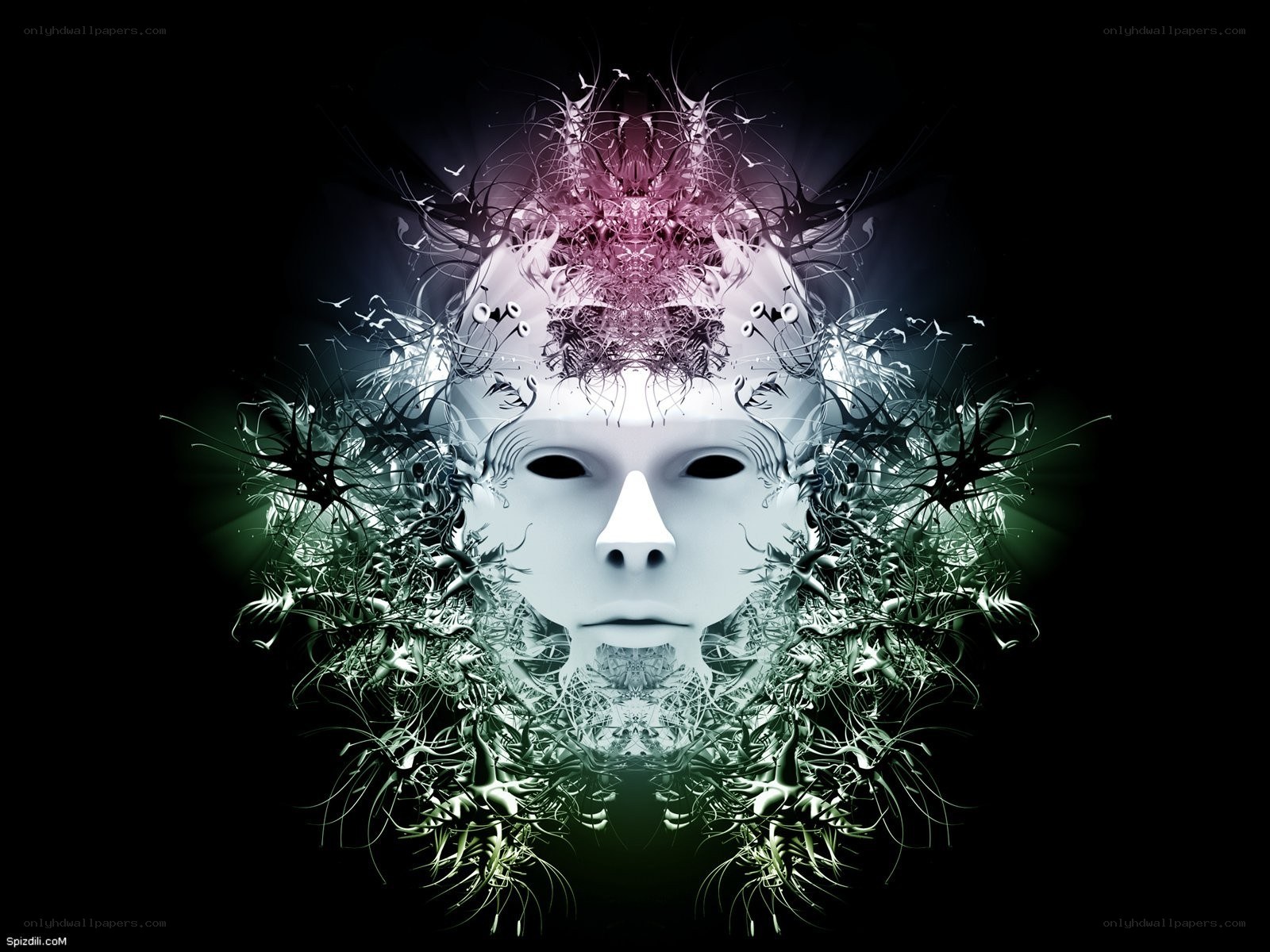 abstract face with fractal patterns