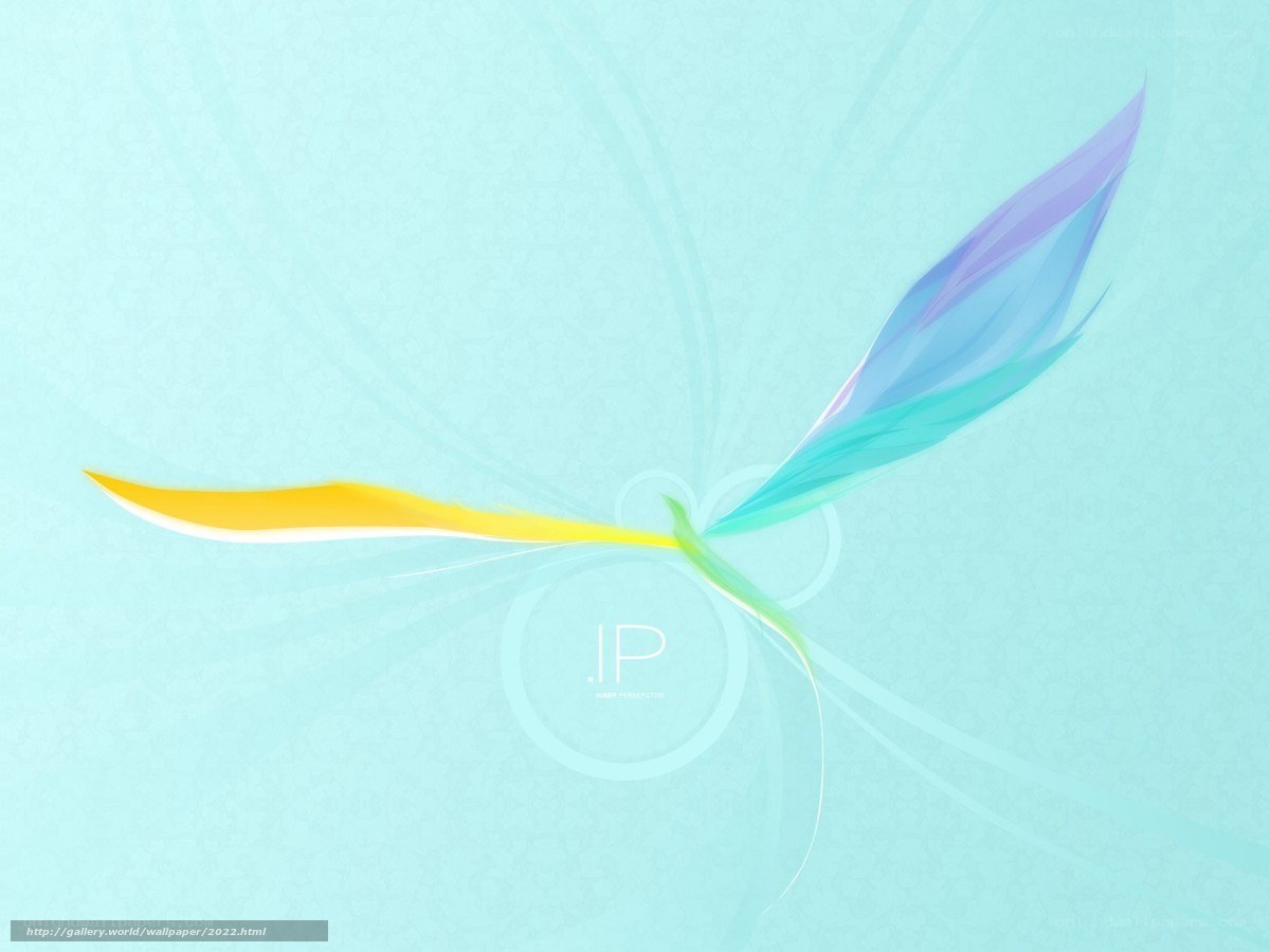 Abstract feather design