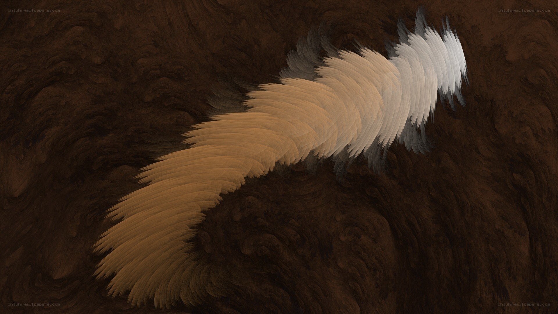 abstract feather-like form