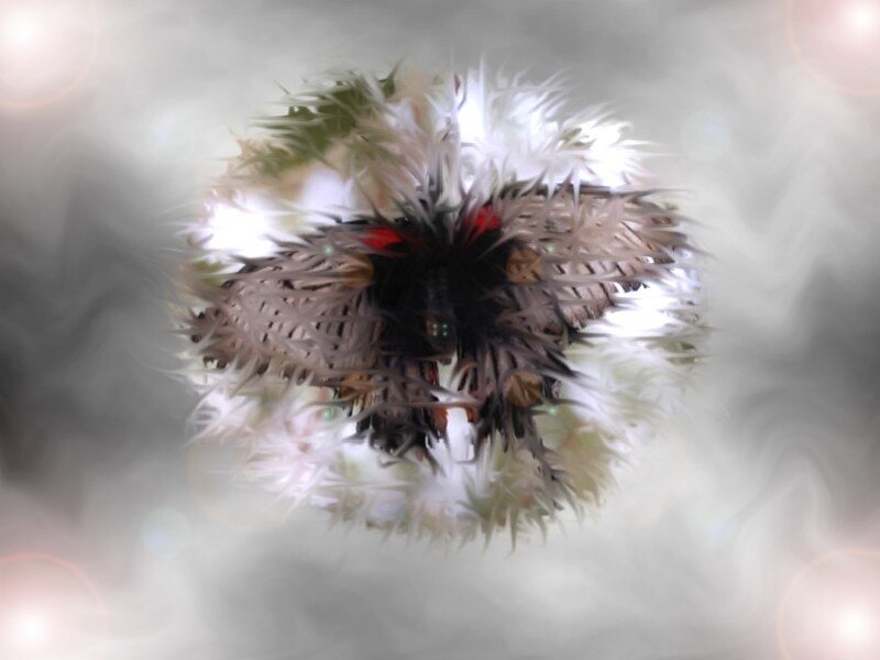 abstract feather-like structure
