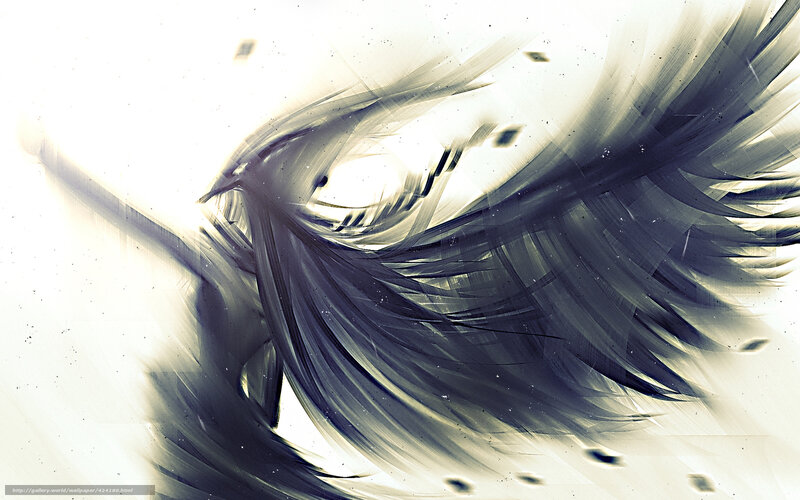 Abstract feather swirl