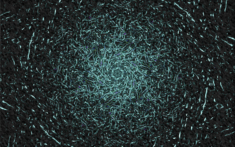 abstract fiber network