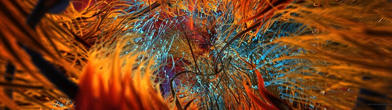 Abstract fiber network visualization