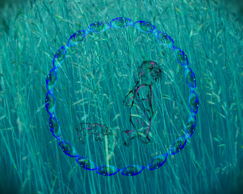 Abstract figure in a field