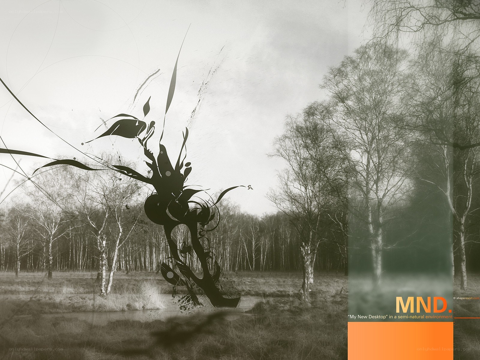 abstract figure in a forest