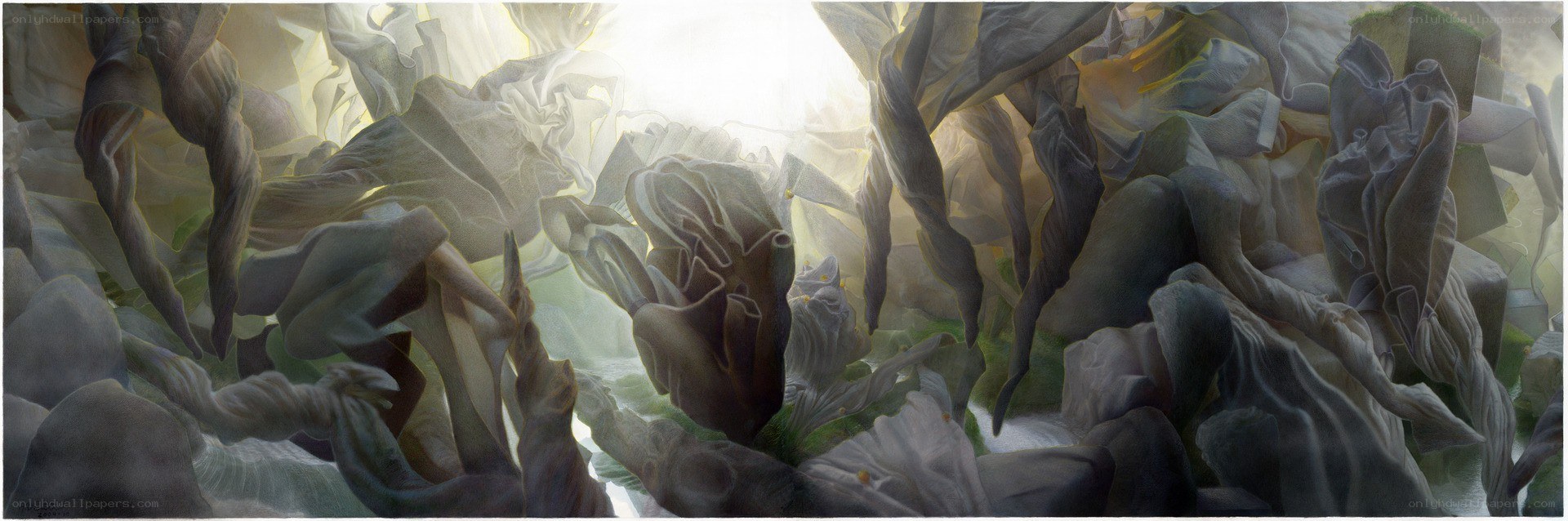 Abstract figures in light