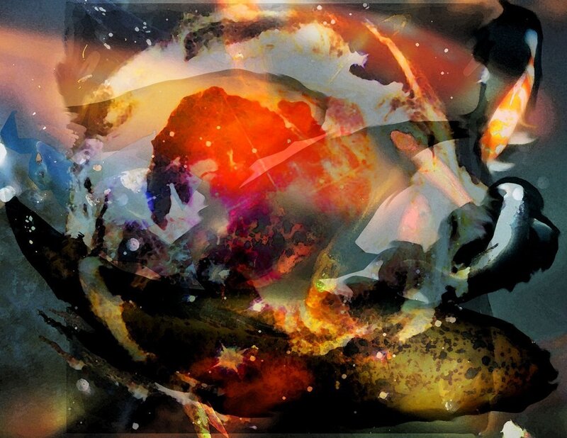 Abstract fish art collage