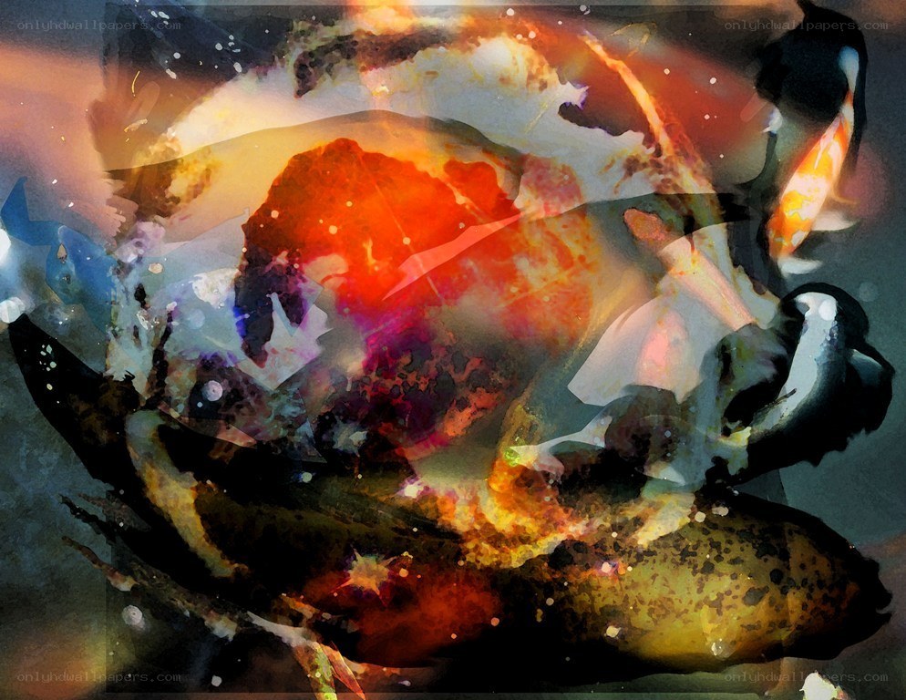 Abstract fish art collage