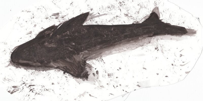 abstract fish drawing