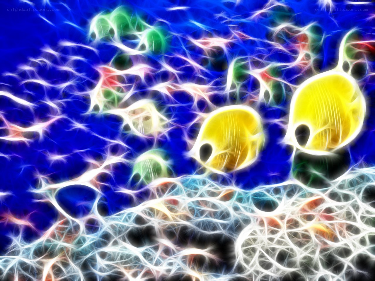 Abstract fish in neon light