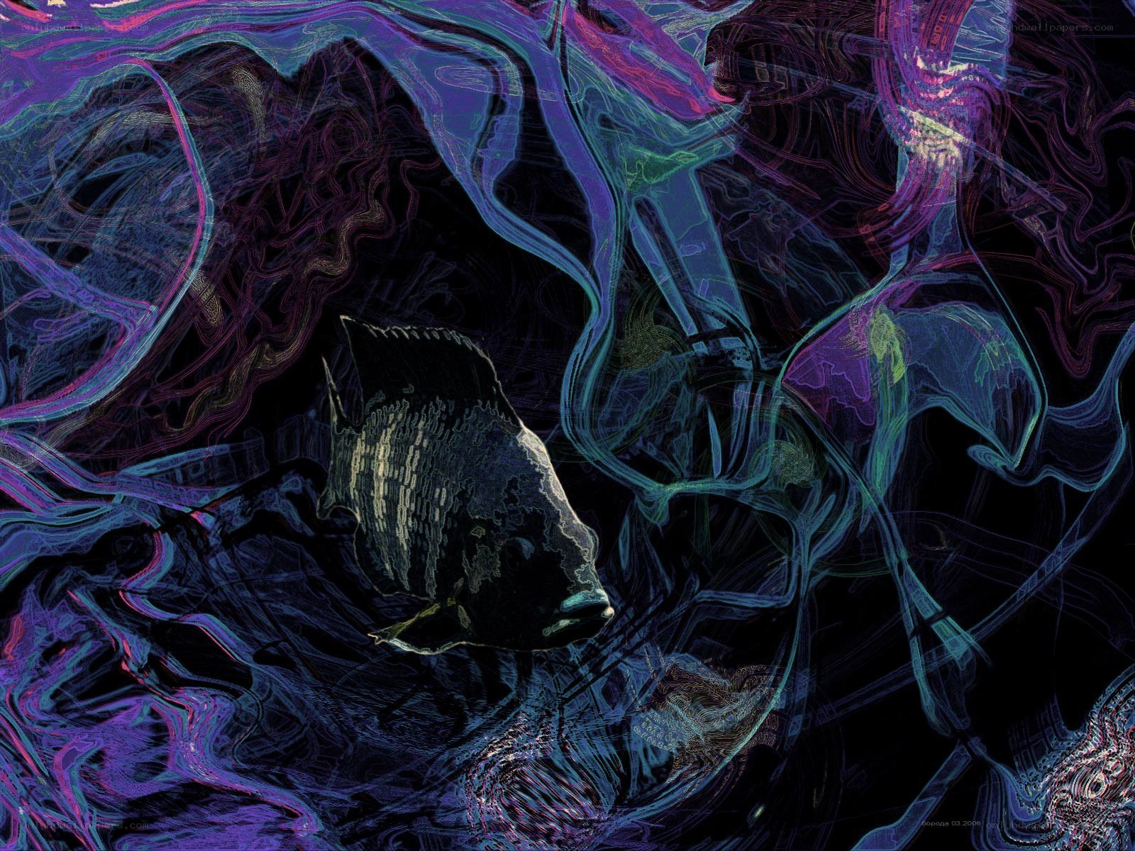 Abstract fish in neon swirls