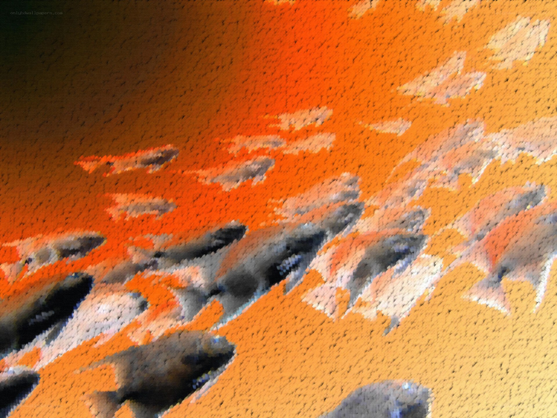 abstract fish in orange water