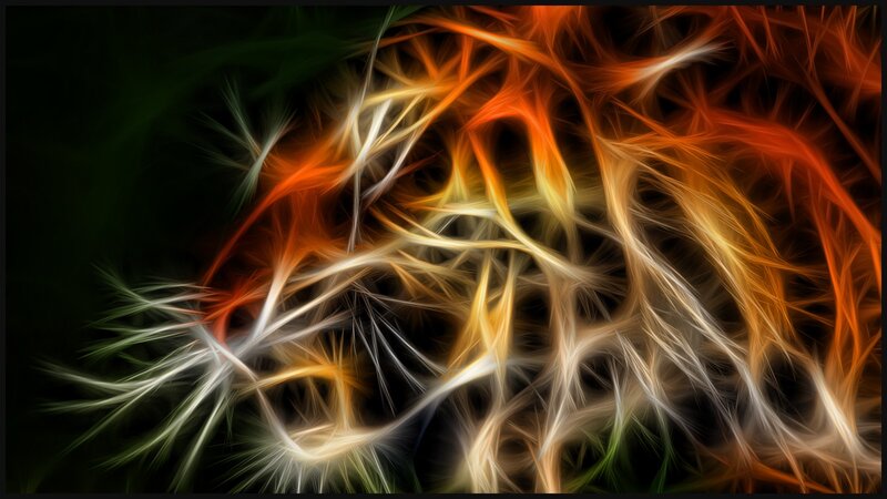 Abstract flame-like patterns