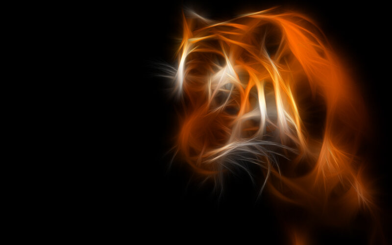 abstract flame tiger