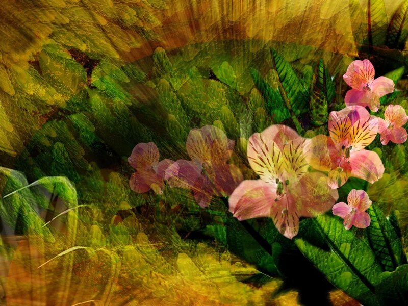 Abstract floral art with pink flowers